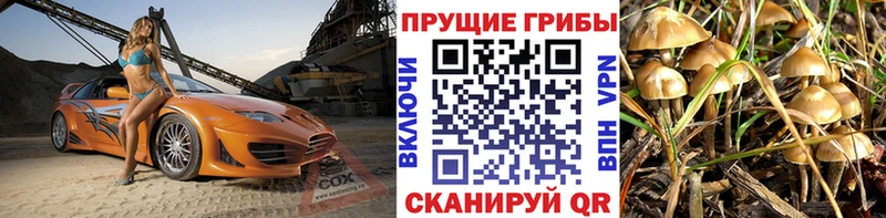 Псилоцибиновые грибы мухоморы  mega ТОР  Октябрьский 
